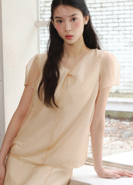 [5/23 순차배송][Exclusive]오간자 반소매 블라우스