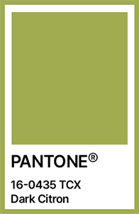 pantone 3