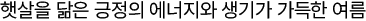 텍스트