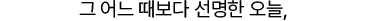 텍스트