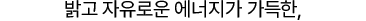 텍스트