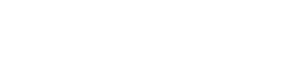 텍스트