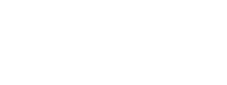 텍스트