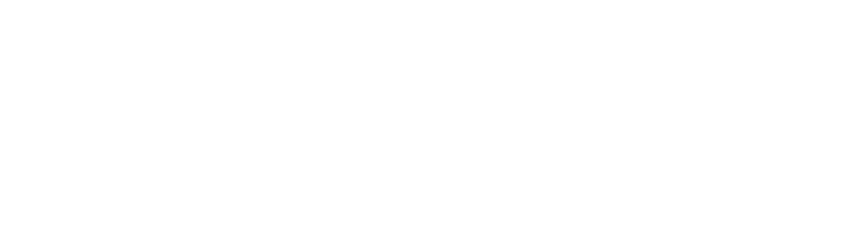텍스트