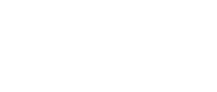 텍스트