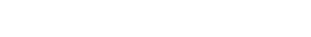 텍스트