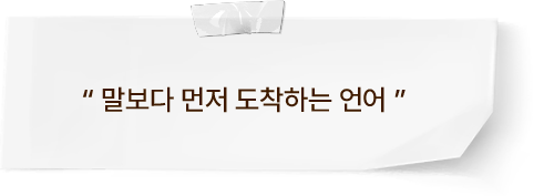 텍스트