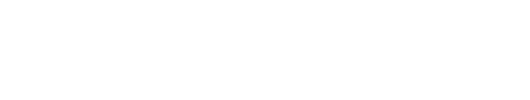 텍스트
