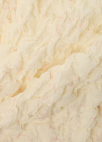 칼라 블록 포인트 자켓_CREAM_16