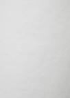 자수 포인트 버뮤다 데님팬츠_WHITE_22