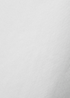 투버튼 하이웨이스트 데님 팬츠_WHITE_27