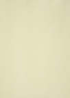 언발란스 셔츠 블라우스_LIGHT YELLOW_17