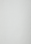 하이웨이스트 와이드 데님 팬츠_WHITE_17