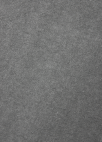 피그먼트 그래픽 티셔츠_GREY_15