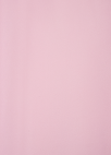 오간자 시어 블라우스_PINK_15