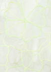 플라워 자수 레이어드 뷔스티에_LIGHT GREEN_15