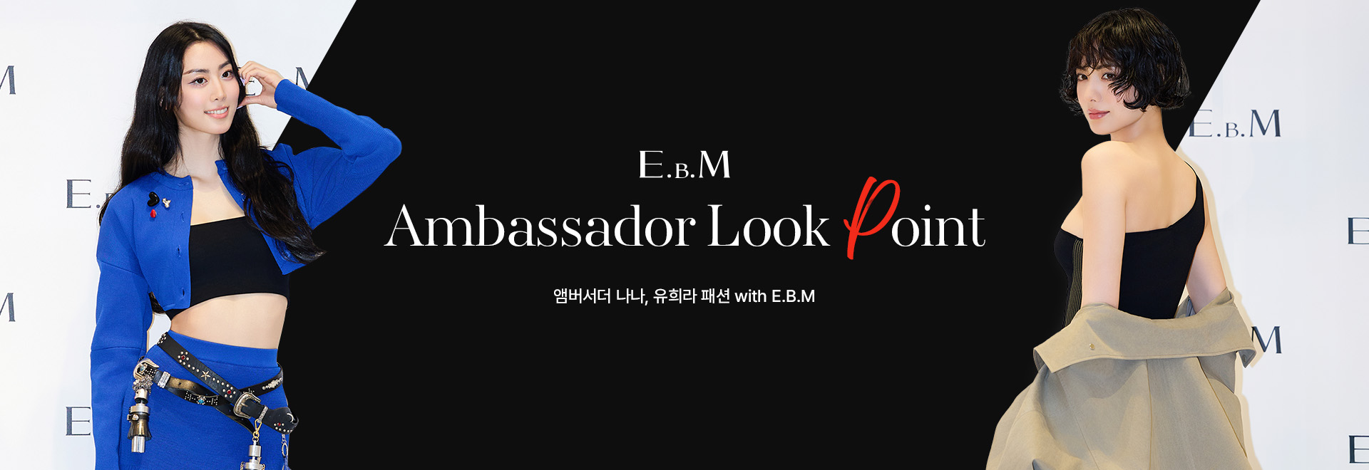 AMBASSADOR LOOK POINT